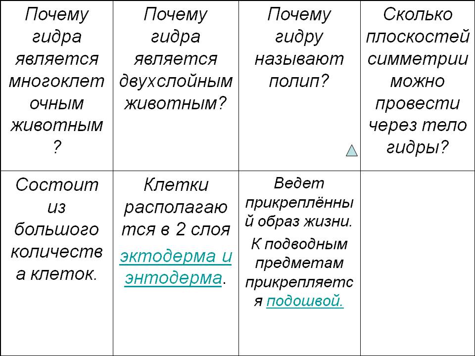 Кракен at