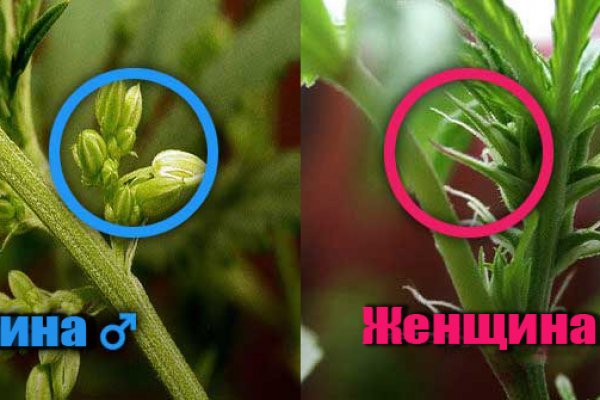 Кракен торговая площадка