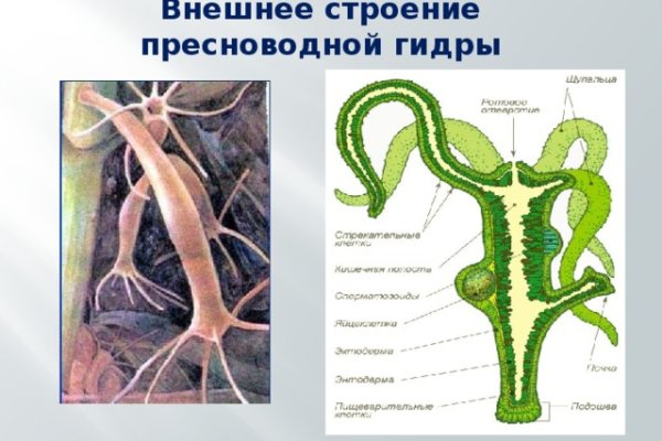 Как зарегаться в кракен