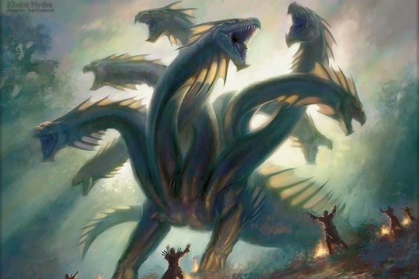 Kraken актуальное