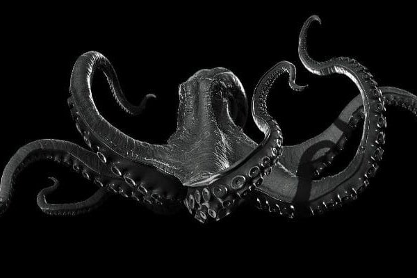 Кракен актуальная ссылка kraken torion net