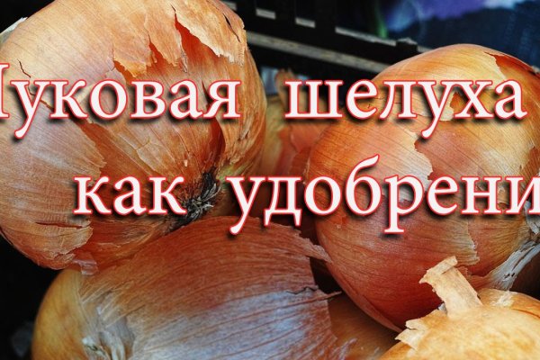 Кракен даркнет поддержка