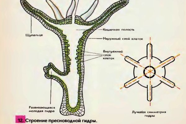 Кракен купить наркоту