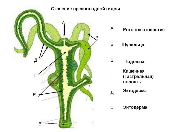 Кракен современный даркнет маркет плейс