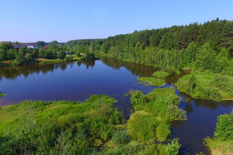 Кракен зеркало сегодня